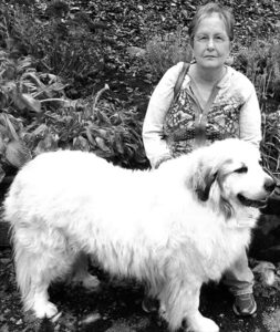 Donna Sue O’Malley